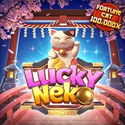 cqn8 Game 03
